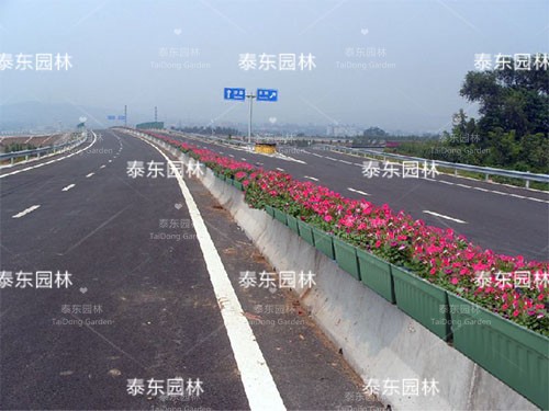 高速路隔離花箱 高速路隔離花箱