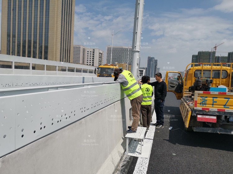 1619058599524557.jpg 花箱