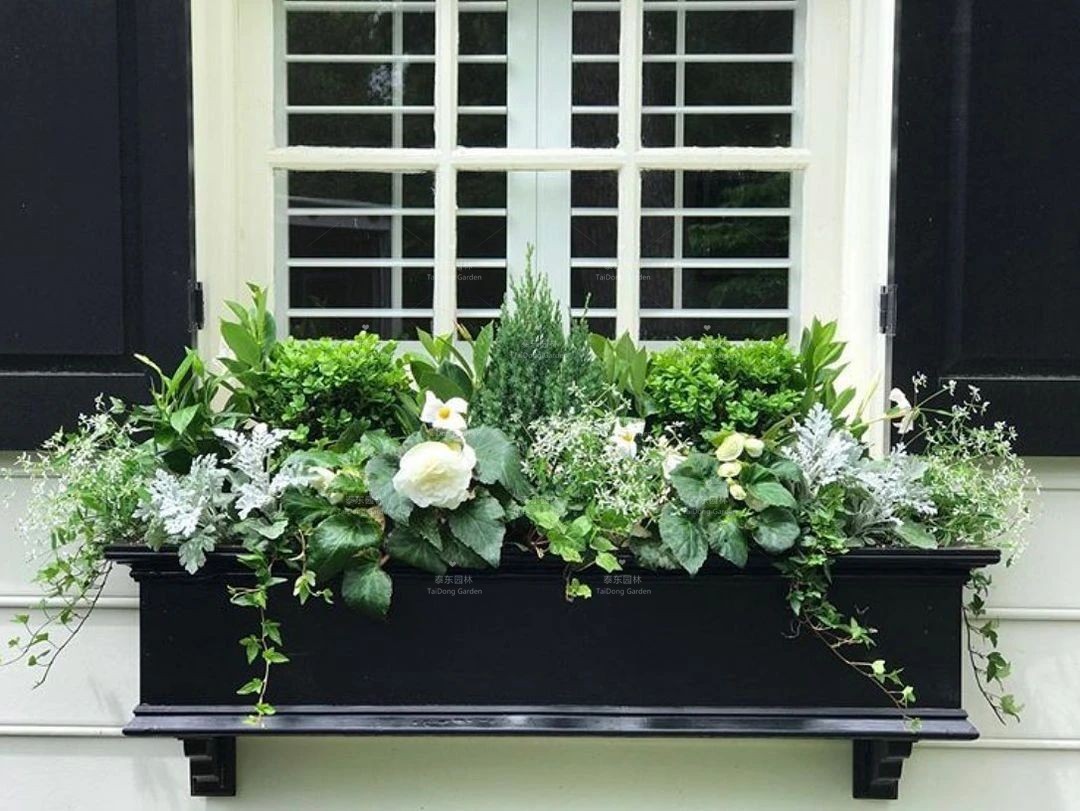 窗臺花箱1.jpg