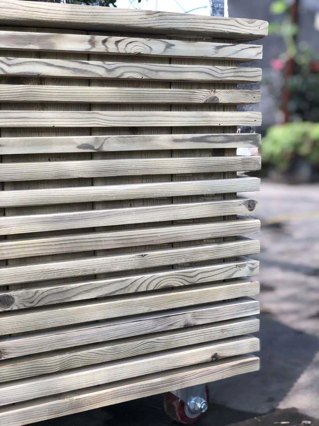 1675413766357600.jpg 5.jpg