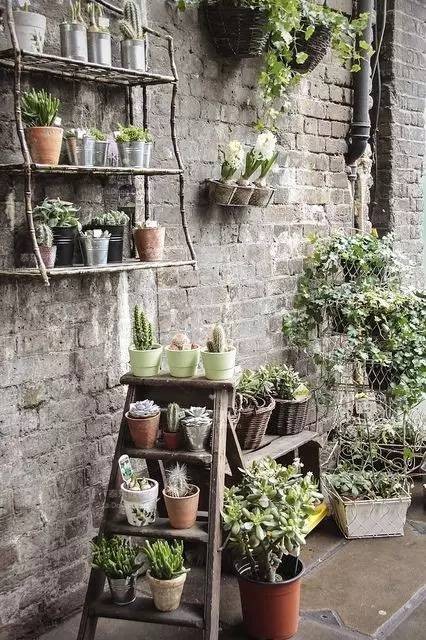 1675758663899860.jpg 花箱