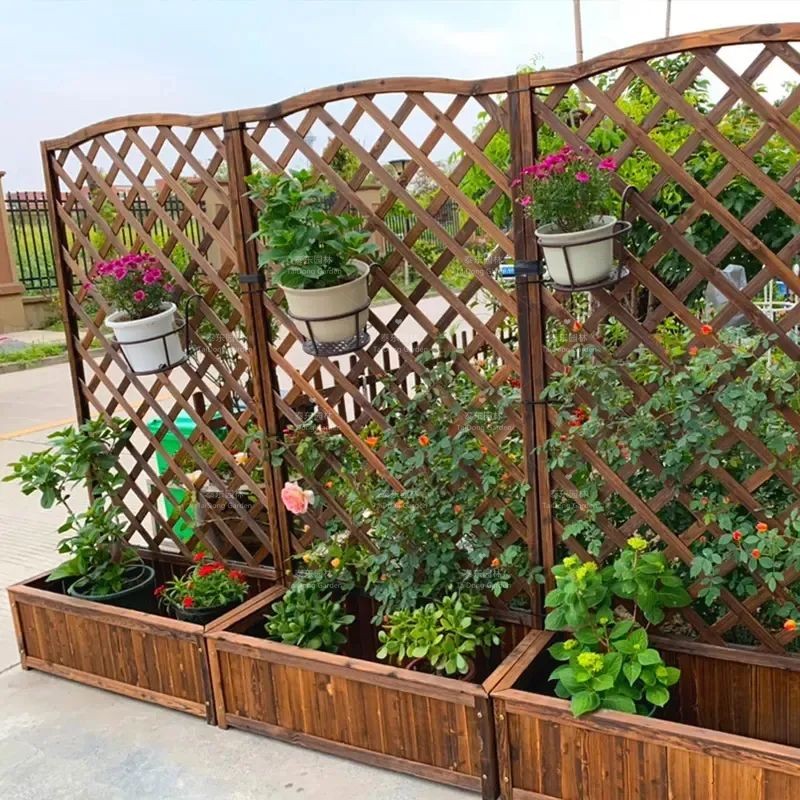 1675911292478560.jpg 10.jpg