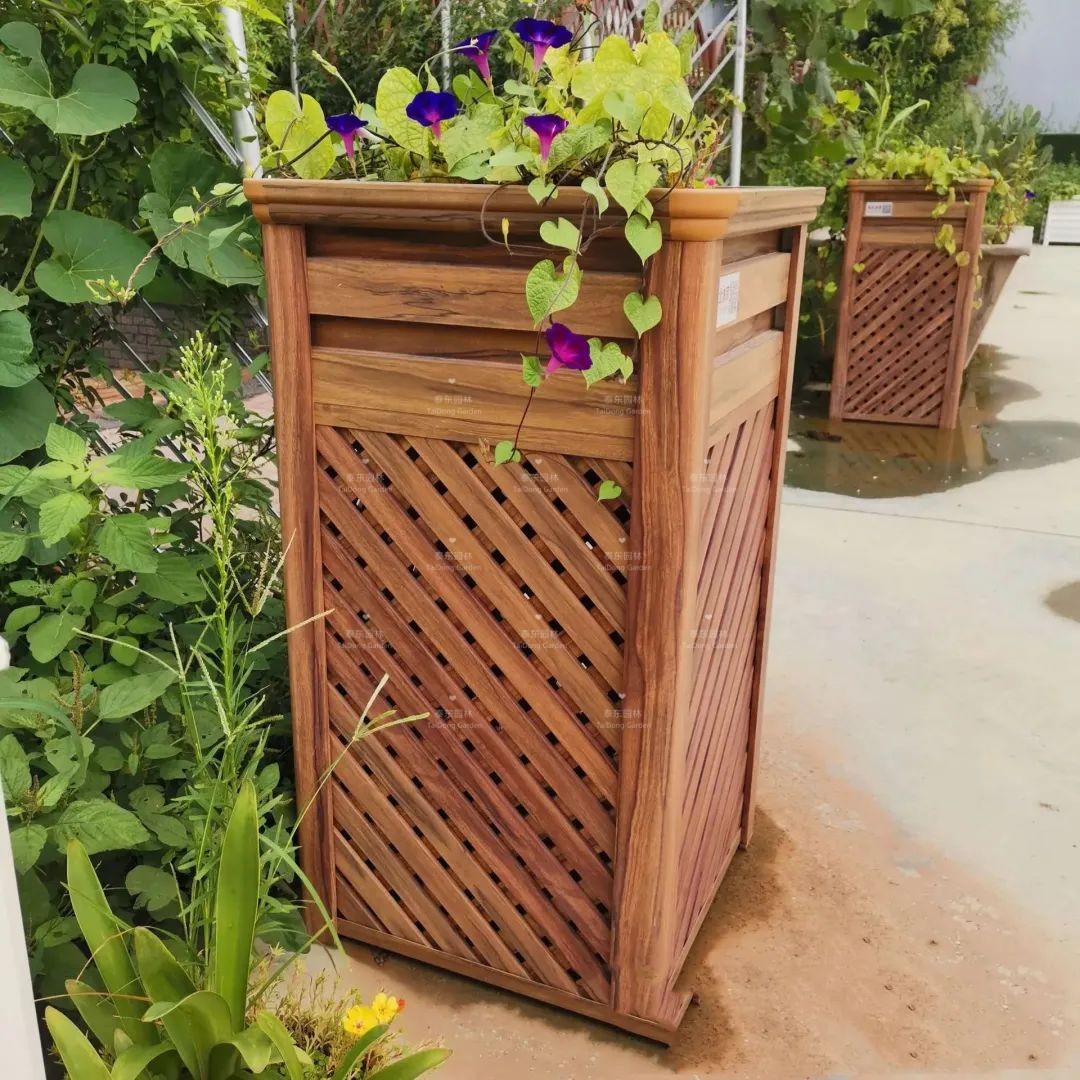 1675911345437050.jpg 12.jpg