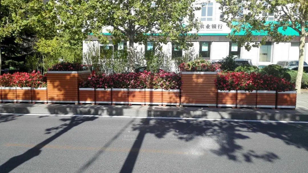 1675912300621778.jpg 30.jpg