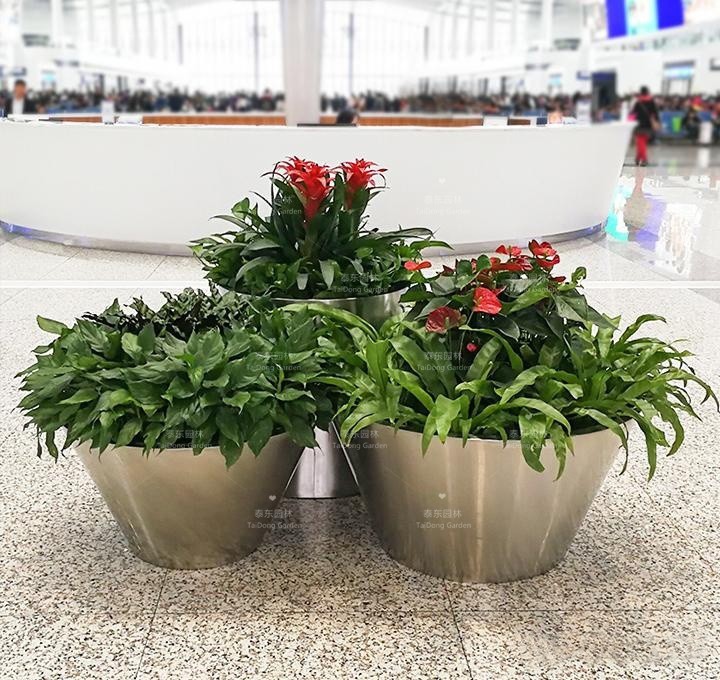 1676511526737218.jpg v2-5baea5e1c61bdfc1d3d38028272e02dd_r.jpg