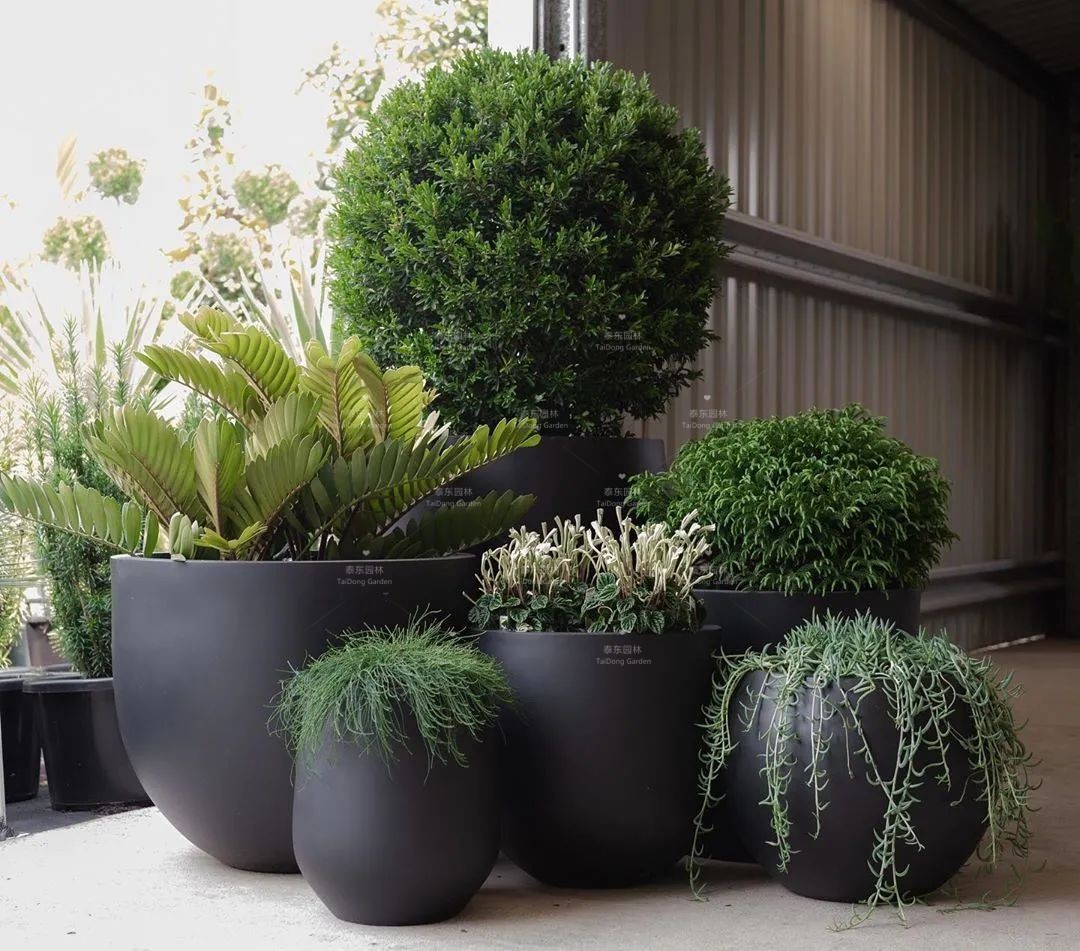 1677129607511772.jpg 花箱