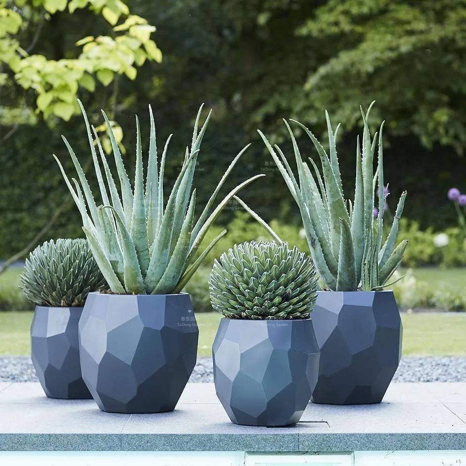 1677129608857280.jpg 花箱