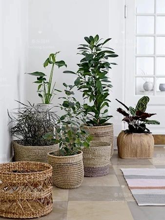 1677129808501719.jpg 花箱