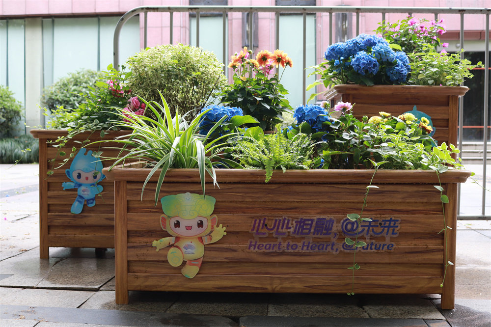 1689121652734400.jpg 花箱