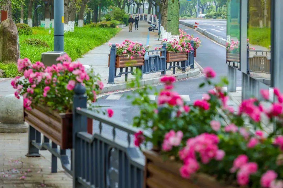 1689121947521897.jpg 花箱