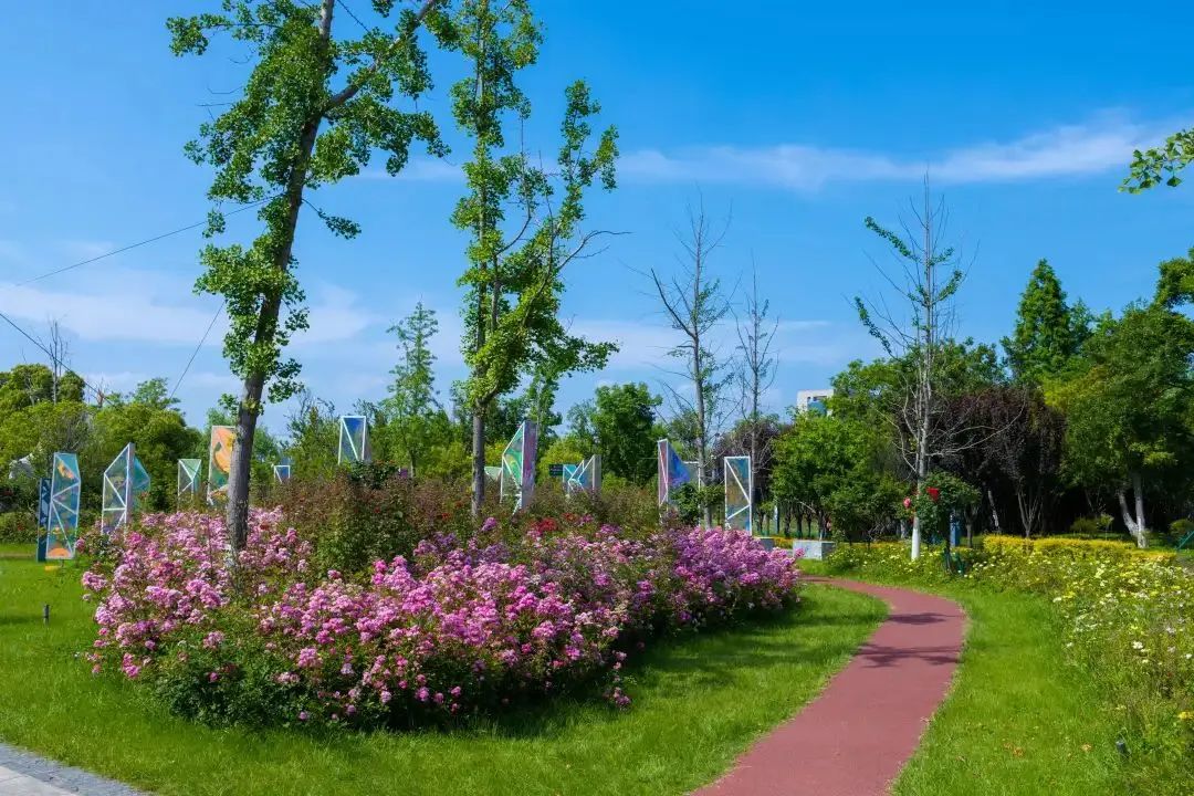 1689121947968043.jpg 花箱