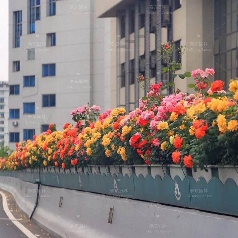 1689148192896463.jpg 花箱