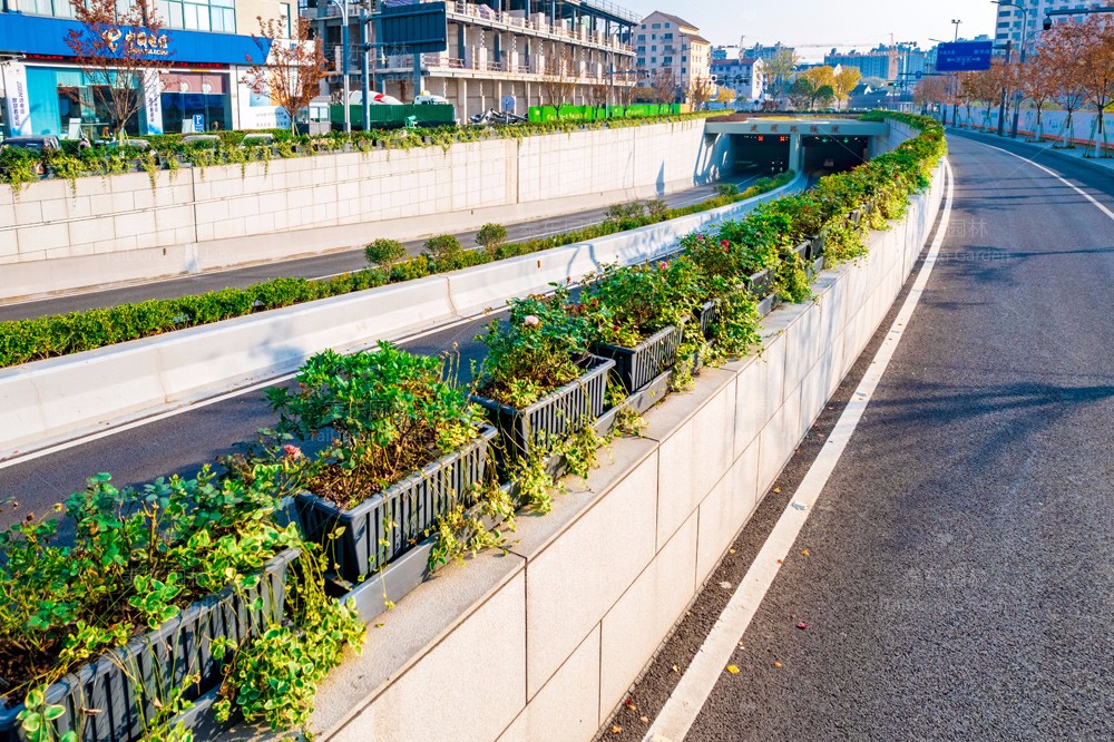 1701391255821296.jpg 花箱