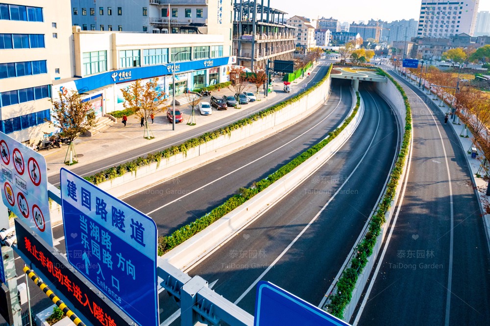 1701391255891461.jpg 花箱