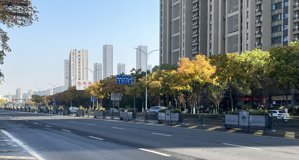 1702003020707093.jpg 花箱