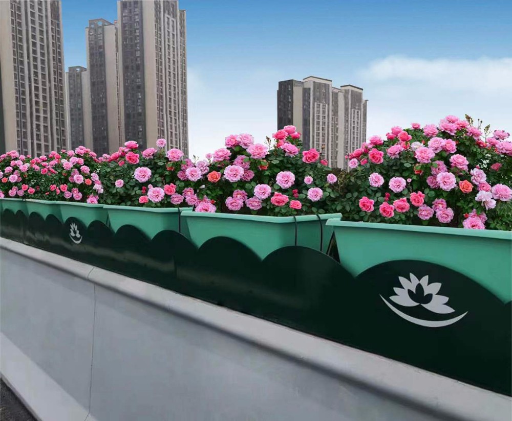 1708913113464984.jpg 花箱