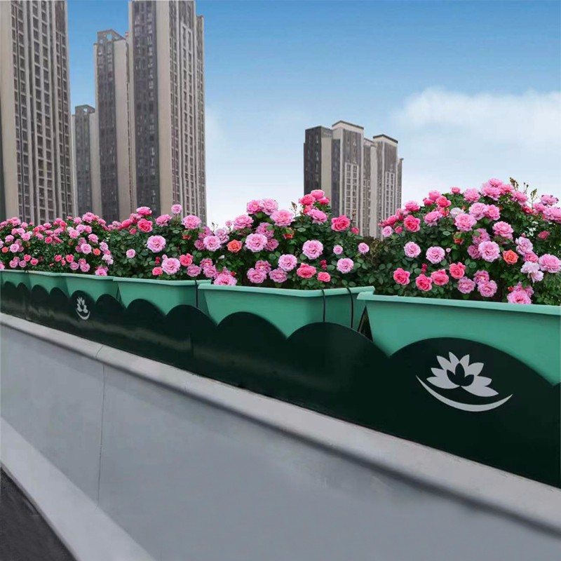 1708915171110051.jpg 1.jpg